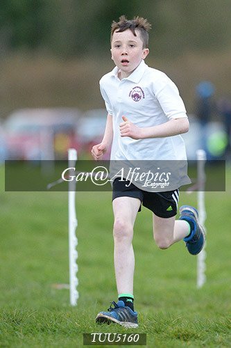 Dyfed Primary Schools Cross Country Year 5 Boys