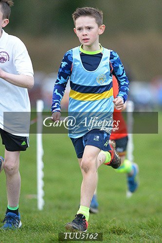 Dyfed Primary Schools Cross Country Year 5 Boys