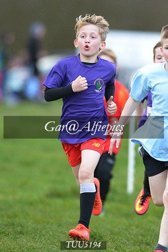 Dyfed Primary Schools Cross Country Year 5 Boys