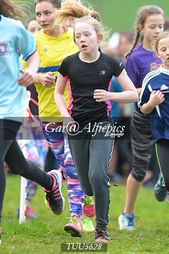 Dyfed Primary Schools Cross Country Year 6 Girls