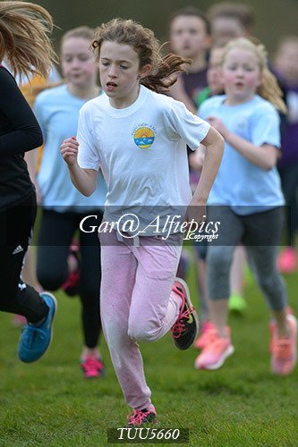Dyfed Primary Schools Cross Country Year 6 Girls