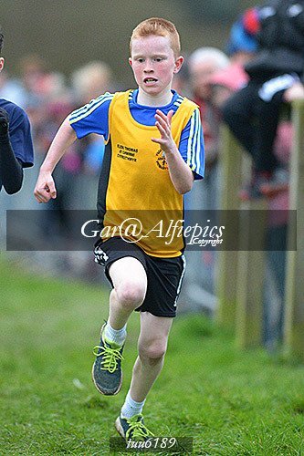 Dyfed Primary Schools Cross Country Year 6 Boys