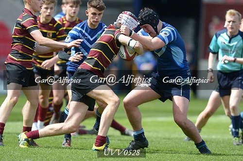 Ysgol Y Preseli v Ysgol Gyfun Ystalyfera
