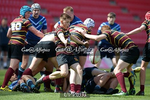 Ysgol Y Preseli v Ysgol Gyfun Ystalyfera