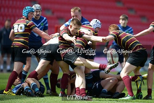 Ysgol Y Preseli v Ysgol Gyfun Ystalyfera