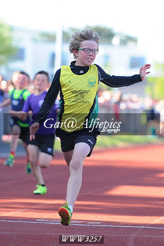 Carmarthenshire Primary School&#39;s Athletics Championships