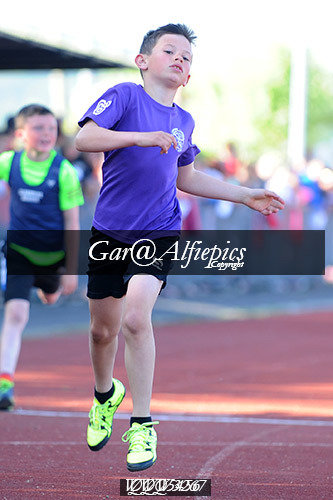 Carmarthenshire Primary School&#39;s Athletics Championships