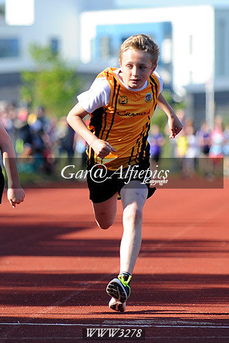 Carmarthenshire Primary School&#39;s Athletics Championships