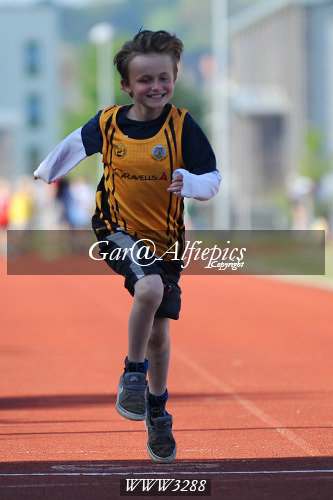 Carmarthenshire Primary School&#39;s Athletics Championships