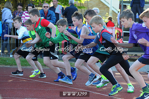 Carmarthenshire Primary School&#39;s Athletics Championships