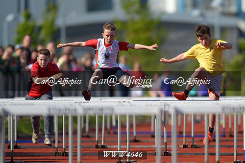 Carmarthenshire Primary School&#39;s Athletics Championships