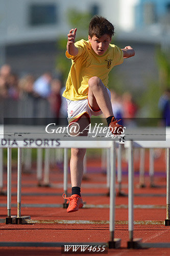 Carmarthenshire Primary School&#39;s Athletics Championships