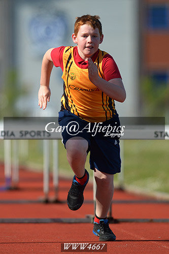 Carmarthenshire Primary School&#39;s Athletics Championships