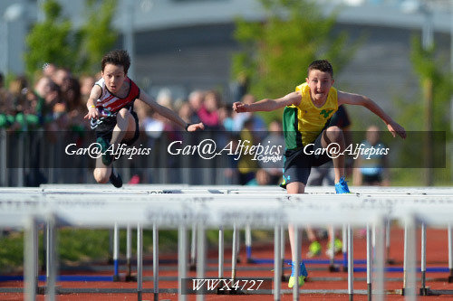 Carmarthenshire Primary School&#39;s Athletics Championships