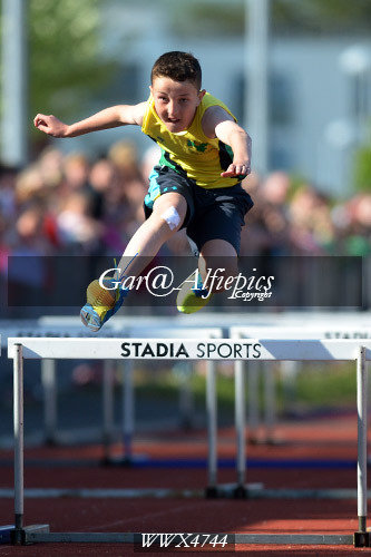 Carmarthenshire Primary School&#39;s Athletics Championships