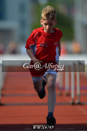 Carmarthenshire Primary School&#39;s Athletics Championships