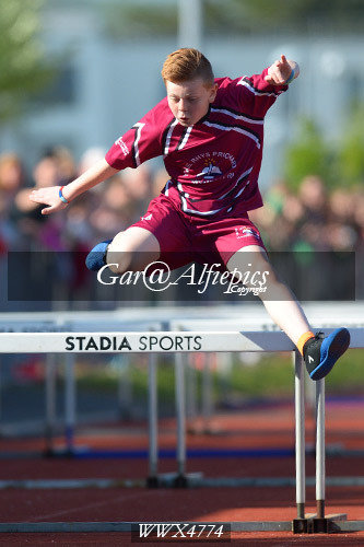 Carmarthenshire Primary School&#39;s Athletics Championships