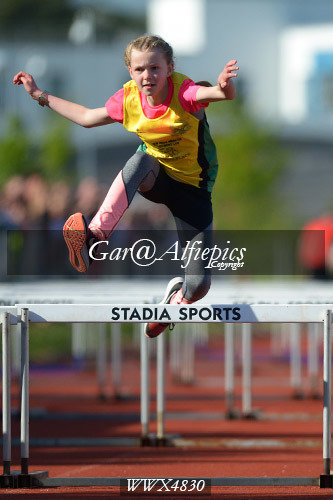 Carmarthenshire Primary School&#39;s Athletics Championships