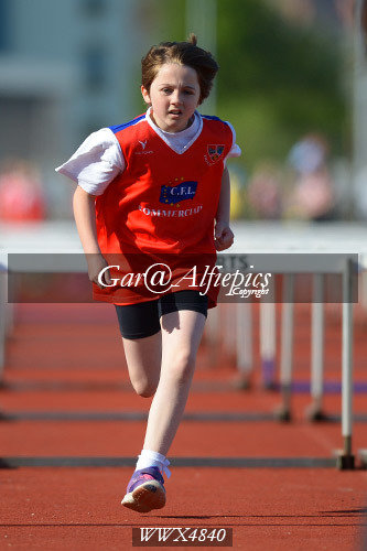 Carmarthenshire Primary School&#39;s Athletics Championships