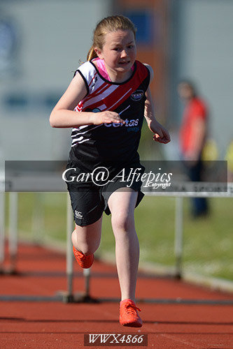 Carmarthenshire Primary School&#39;s Athletics Championships