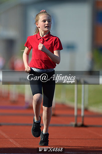 Carmarthenshire Primary School&#39;s Athletics Championships