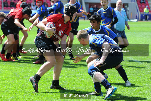 Ysgolion Merthyr v Ysgolion De Powys