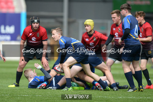 Ysgolion Merthyr v Ysgolion De Powys