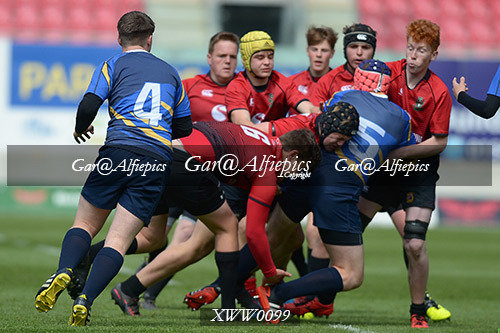 Ysgolion Merthyr v Ysgolion De Powys