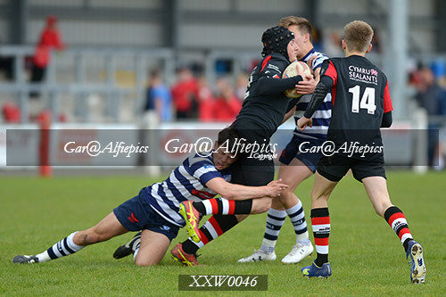WSRU Intermadiate Sevens 2017