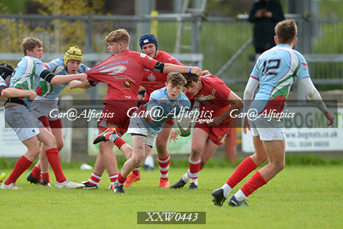 WSRU Intermadiate Sevens 2017