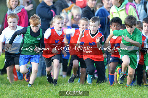 Scarlets East &amp; West v Gloucester