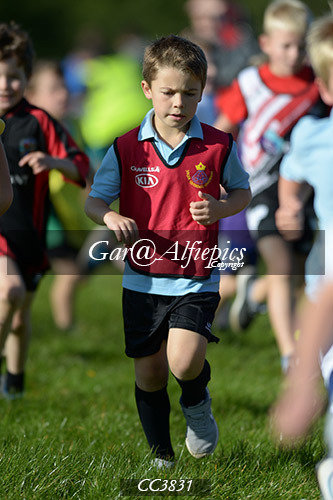 Carmarthenshire School&#39;s Cross Country