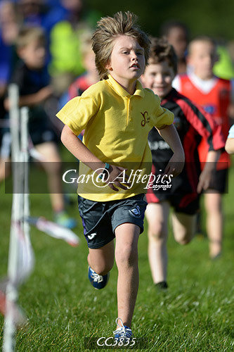 Carmarthenshire School&#39;s Cross Country