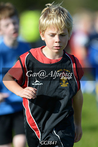 Carmarthenshire School&#39;s Cross Country