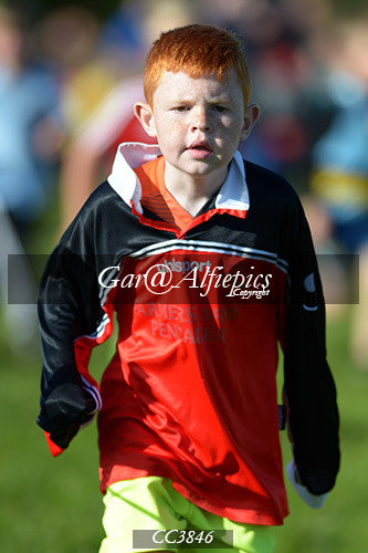 Carmarthenshire School&#39;s Cross Country
