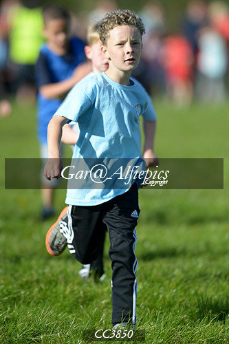 Carmarthenshire School&#39;s Cross Country