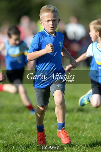Carmarthenshire School&#39;s Cross Country