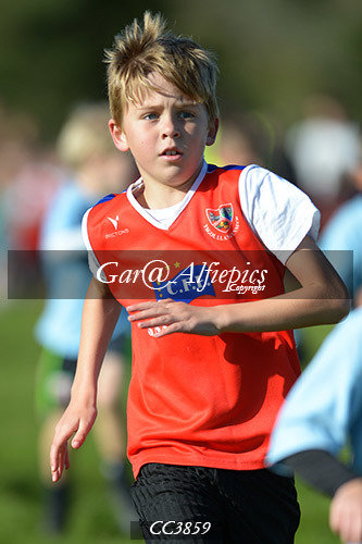 Carmarthenshire School&#39;s Cross Country