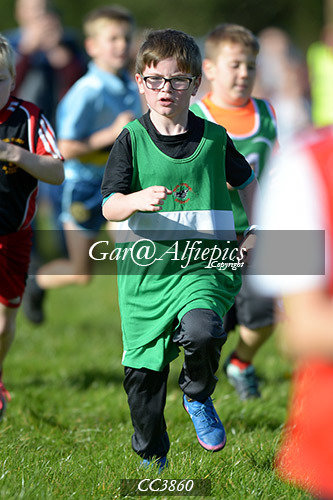 Carmarthenshire School&#39;s Cross Country