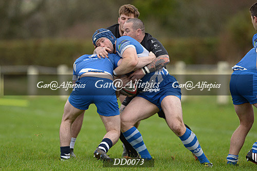 Neyland RFC v Haverfordwest RFC