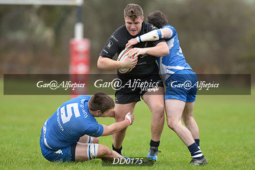 Neyland RFC v Haverfordwest RFC