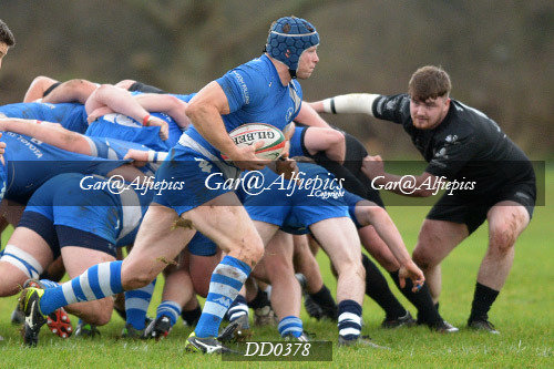 Neyland RFC v Haverfordwest RFC