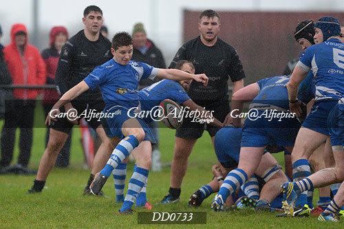 Neyland RFC v Haverfordwest RFC