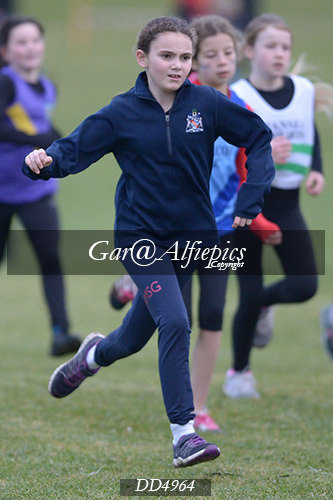 Gwent League CC U11&#39;s Girl&#39;s