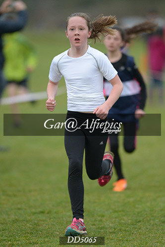 Gwent League CC U11&#39;s Girl&#39;s