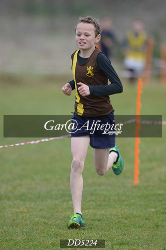 Gwent League CC U11&#39;s Boy&#39;s