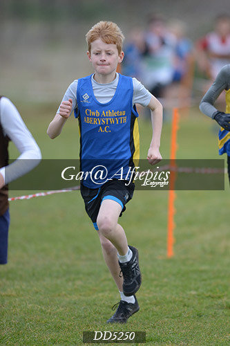 Gwent League CC U11&#39;s Boy&#39;s