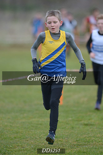 Gwent League CC U11&#39;s Boy&#39;s