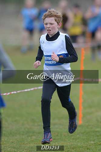 Gwent League CC U11&#39;s Boy&#39;s