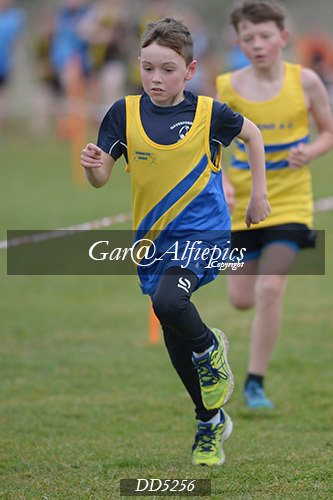 Gwent League CC U11&#39;s Boy&#39;s